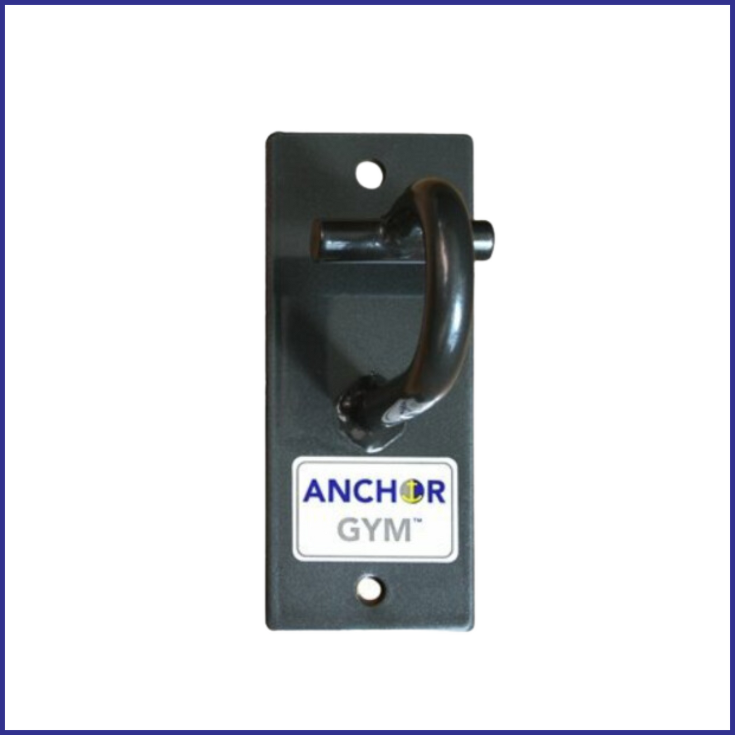 Single Anchor by Anchor Gym | Secure Wall Mount & Gym Workout