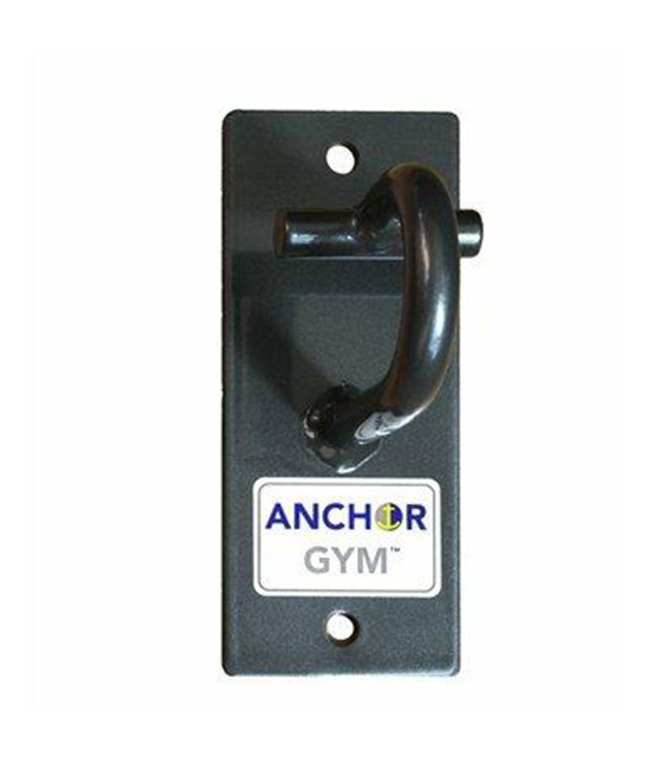 Anchor Gym Door - Mini H1